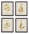 Dyani Wall Art (Set of 4) image