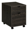 Noorvik 2-drawer Mobile File Cabinet Dark Oak