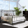 RIANA Antique Black Metal E.King Bed image