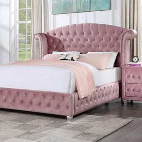 ZOHAR Queen Bed, Pink