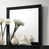 LOUIS PHILIPPE Mirror