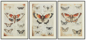 Jossletts Wall Art (Set of 3)