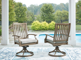 Rainier Ranch Outdoor Swivel Chair with Cushion (Set of 2)